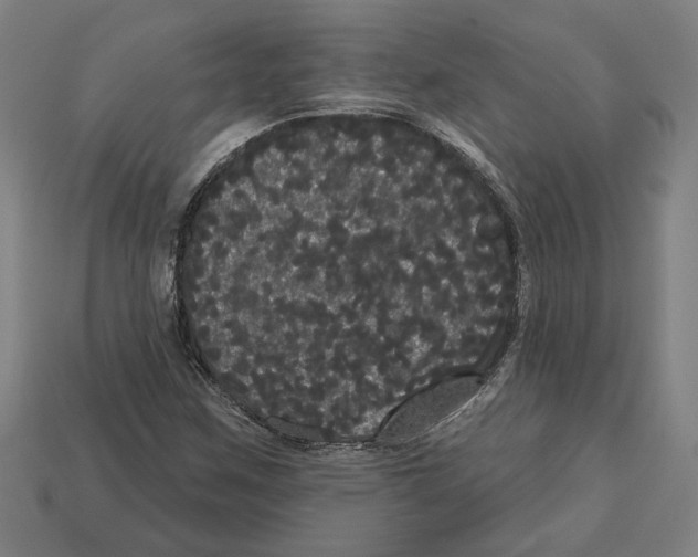 X0000113061259200909250901