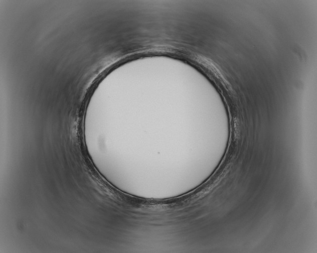 X0000113061260200909250901