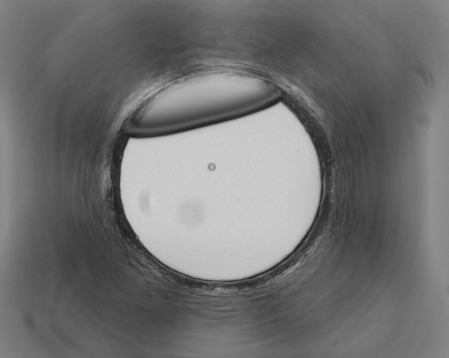 X0000113061261200909250901