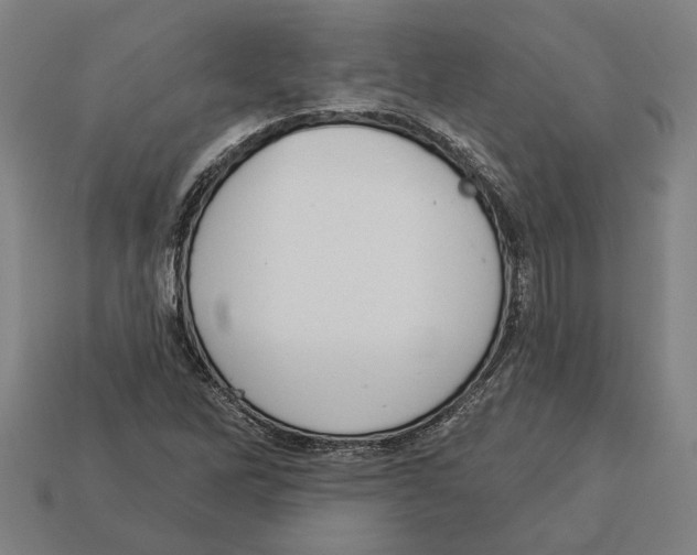 X0000113061262200909250901