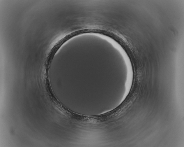 X0000113061263200909250901