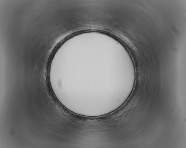 X0000113061264200909250901