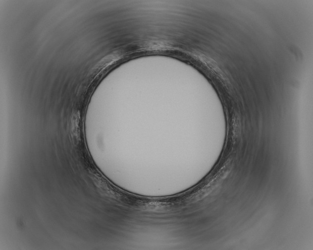 X0000113061265200909250901