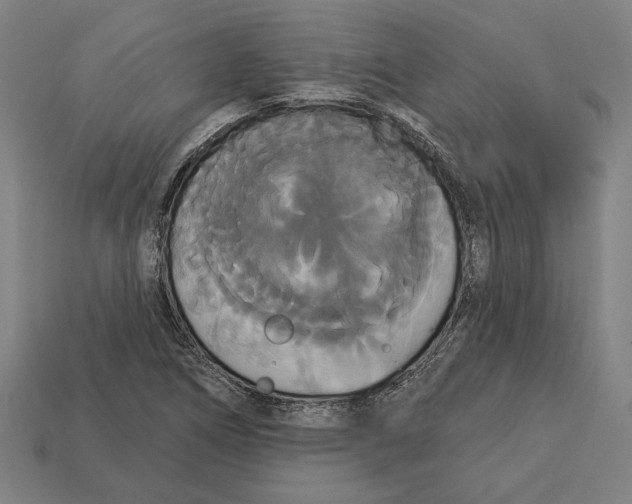 X0000113061266200909250901