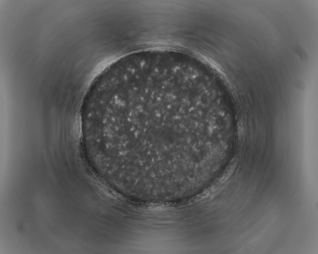 X0000113061267200909250901