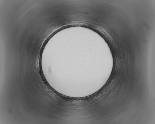 X0000113061268200909250901