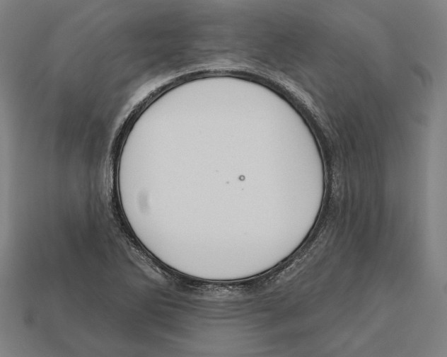 X0000113061270200909250901