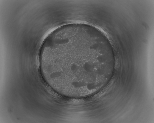 X0000113061271200909250901