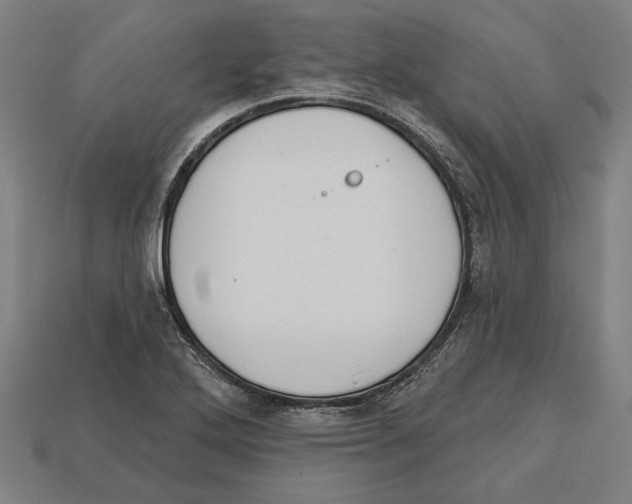 X0000113061272200909250901