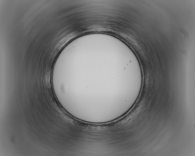 X0000113061273200909250901