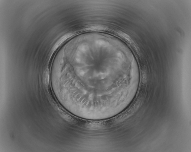 X0000113061274200909250901