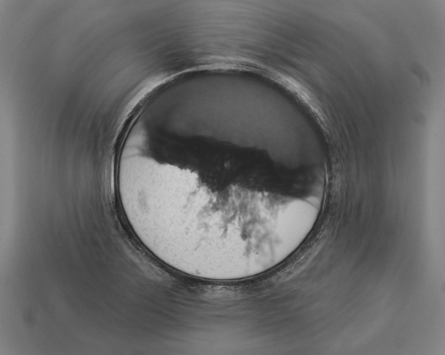 X0000113061275200909250901