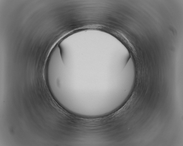 X0000113061276200909250901