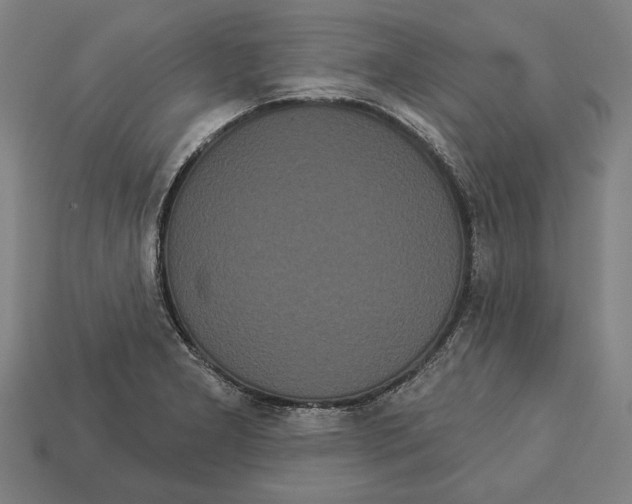 X0000113061277200909250901