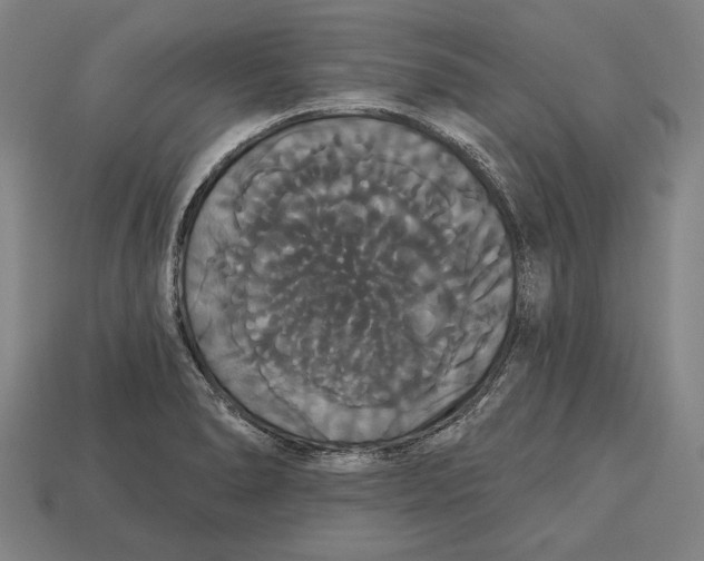 X0000113061278200909250901