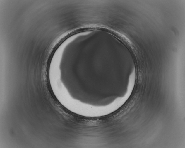 X0000113061279200909250901