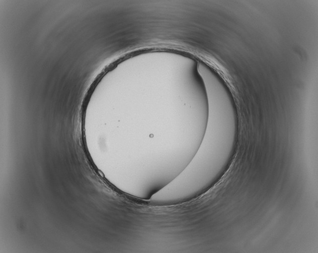 X0000113061280200909250901