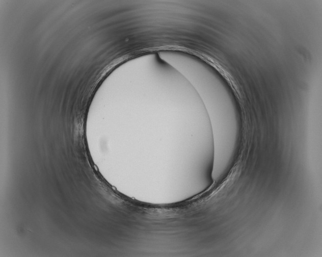 X0000113061281200909250901