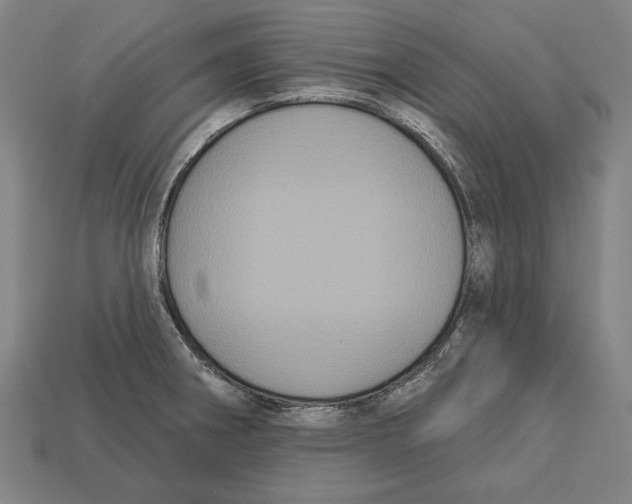 X0000113061282200909250901