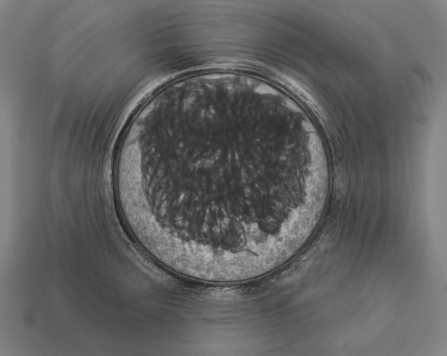 X0000113061283200909250901