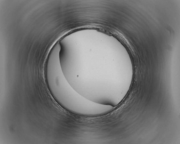 X0000113061284200909250901