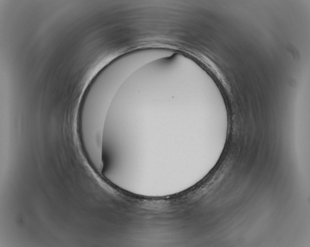 X0000113061285200909250901