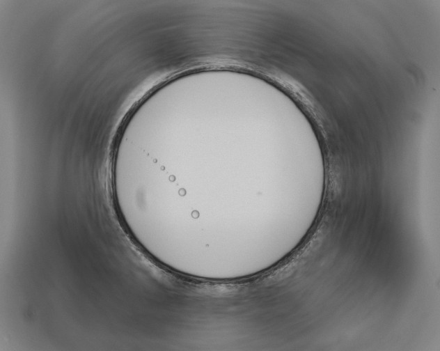 X0000113061286200909250901