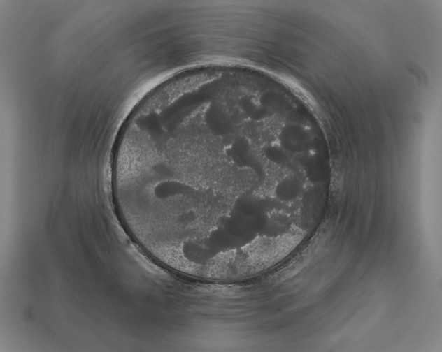 X0000113061287200909250901