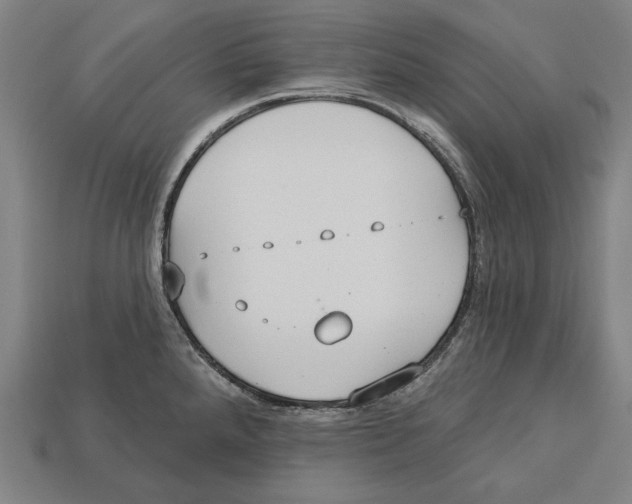 X0000113061288200909250901