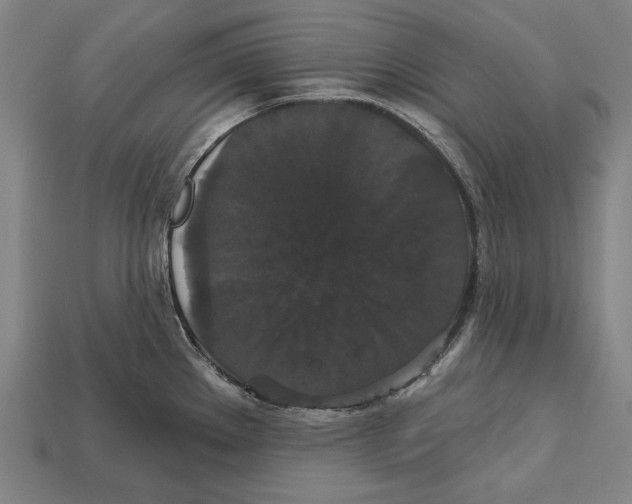 X0000113061289200909250901