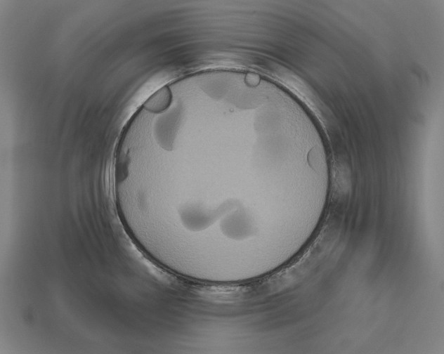 X0000113061290200909250901