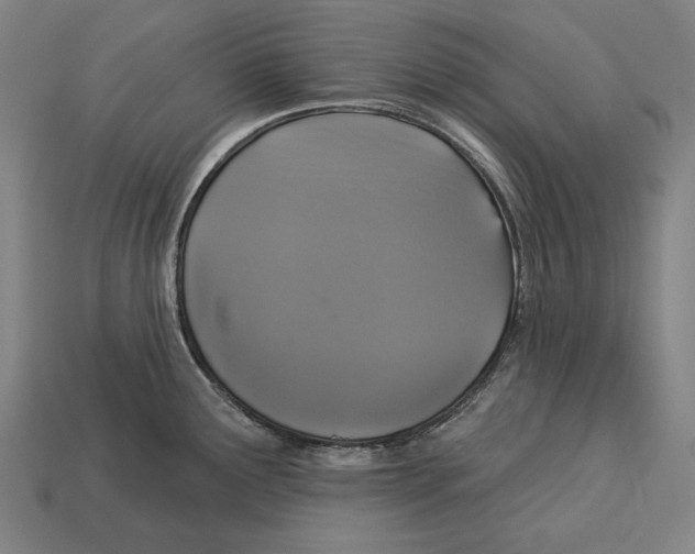 X0000113061291200909250901