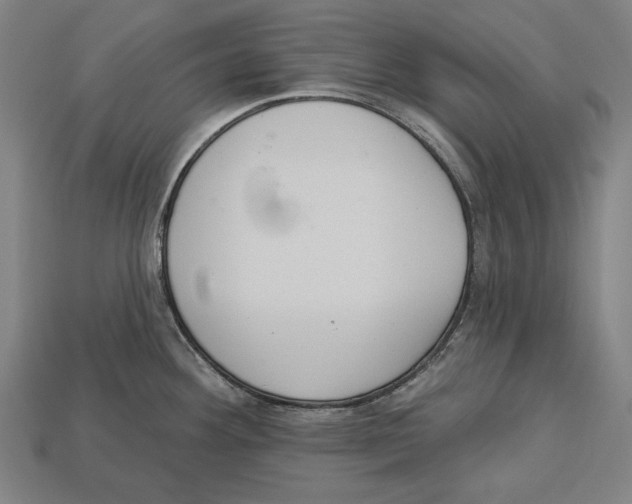 X0000113061292200909250901