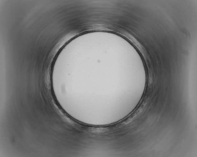 X0000113061293200909250901