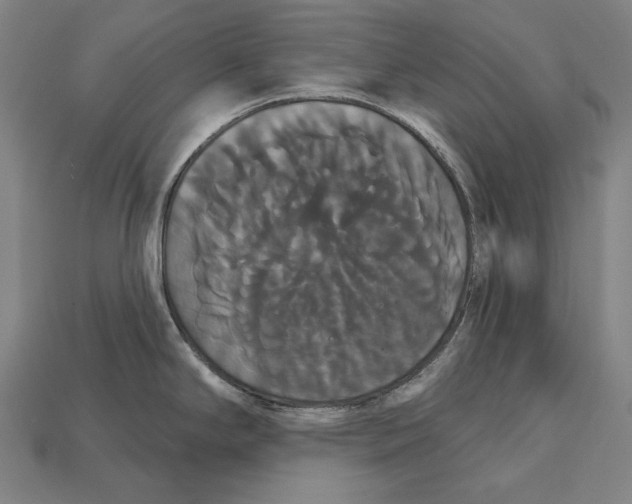 X0000113061294200909250901