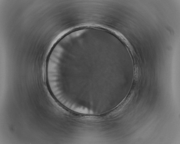 X0000113061295200909250901