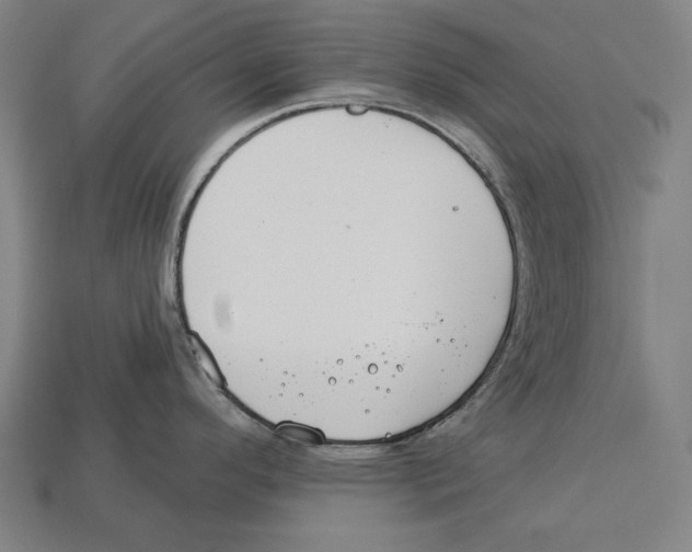 X0000113061296200909250901