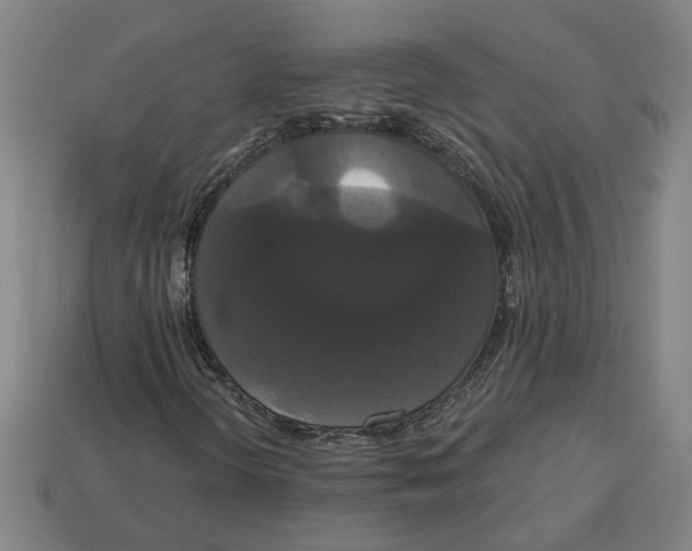 X0000113061298200909250900