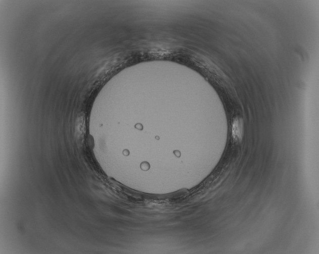 X0000113061299200909250900