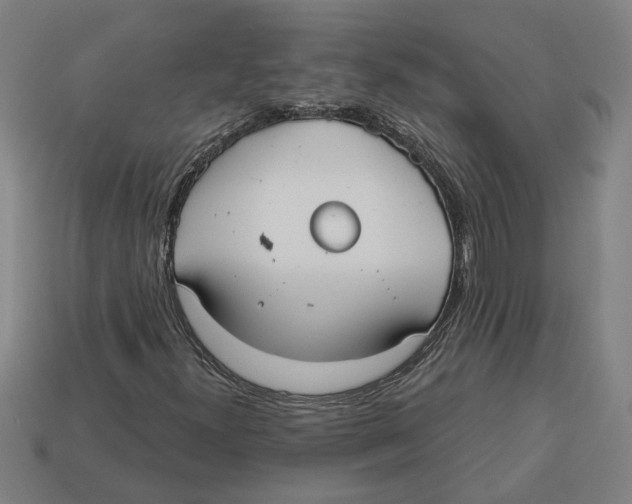 X0000113061300200909250900