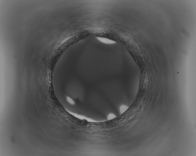 X0000113061301200909250900