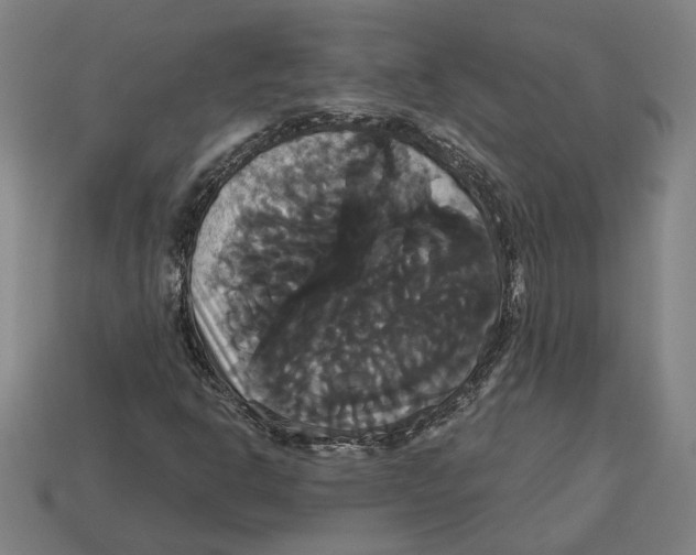 X0000113061302200909250900