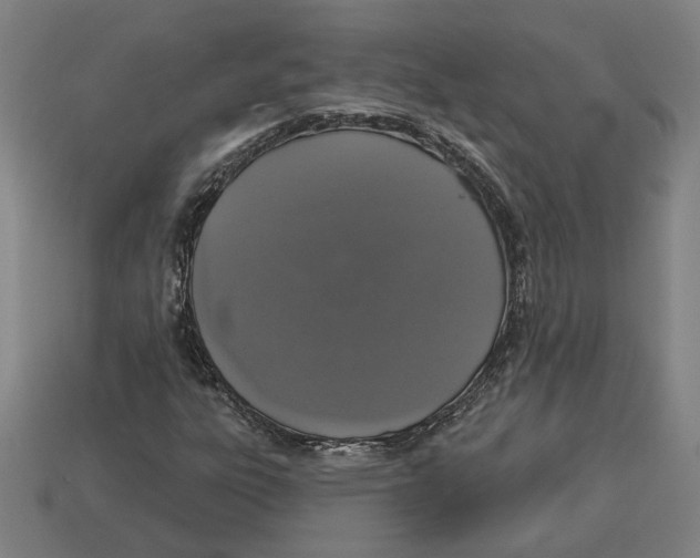 X0000113061303200909250900