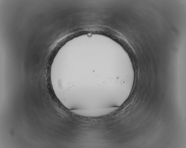 X0000113061304200909250900