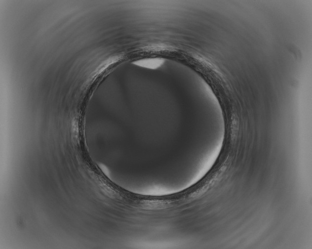 X0000113061305200909250900