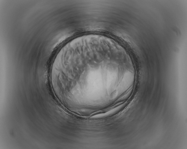 X0000113061306200909250900