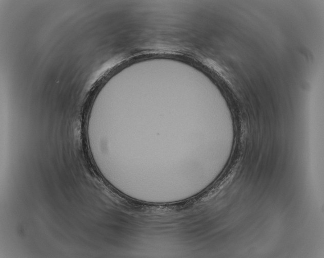 X0000113061307200909250900