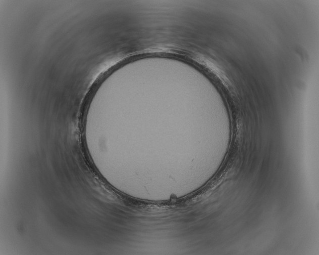 X0000113061308200909250900