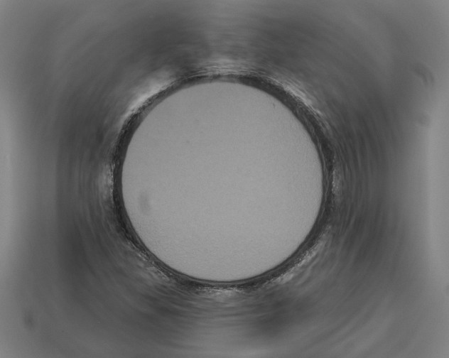 X0000113061309200909250900