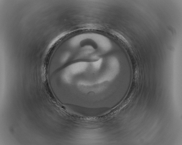 X0000113061310200909250900